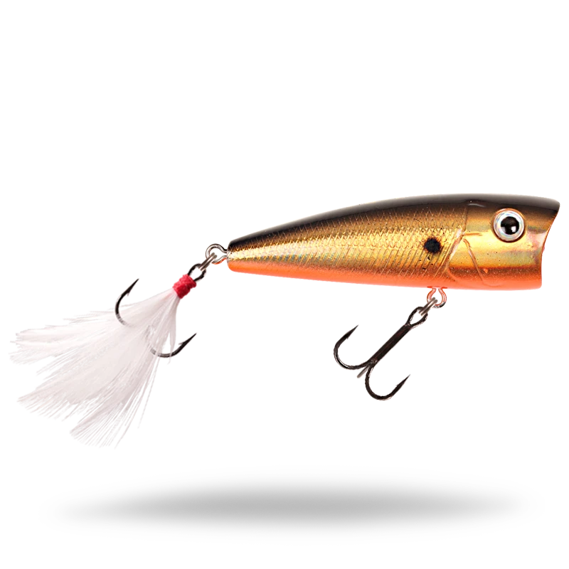 Golden Shiner
