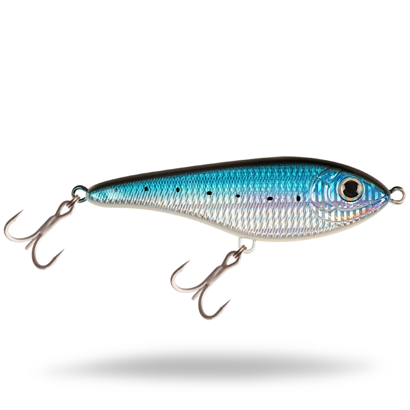 Blue Sardine