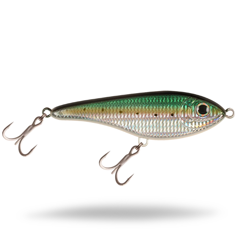 Baracuda