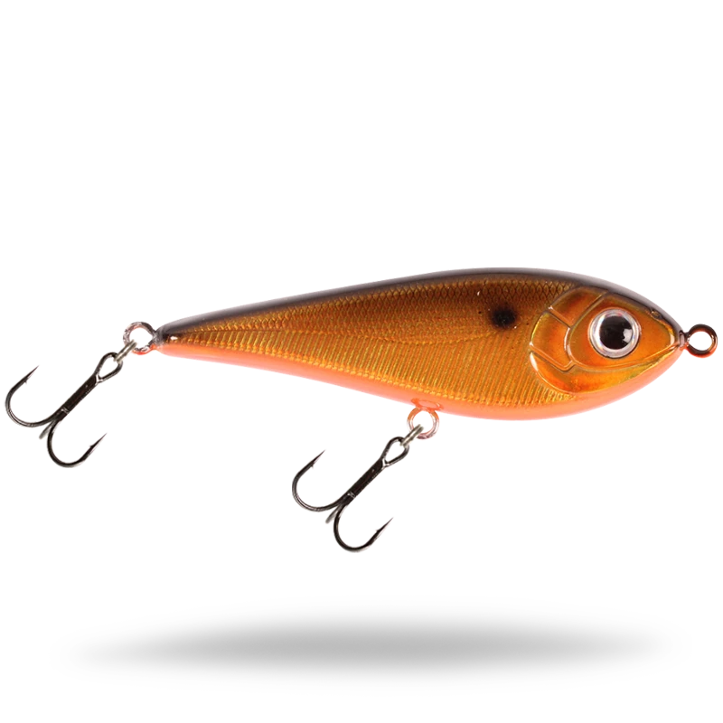 Golden Shiner