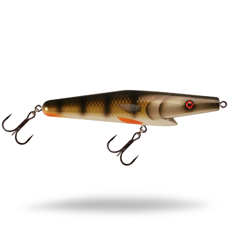 Golden Perch