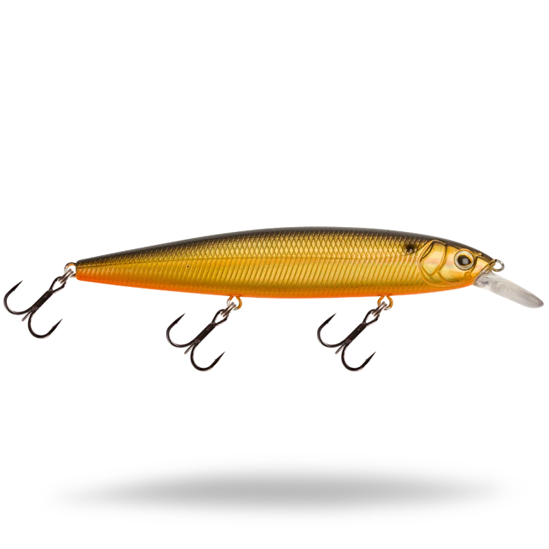 Golden Shiner