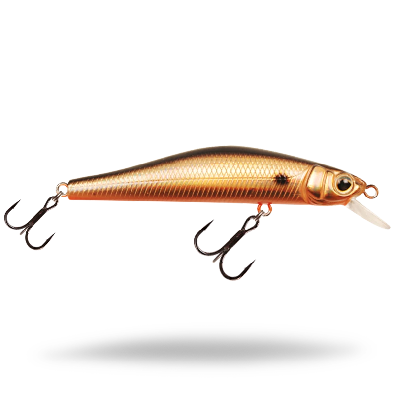 Golden Shiner