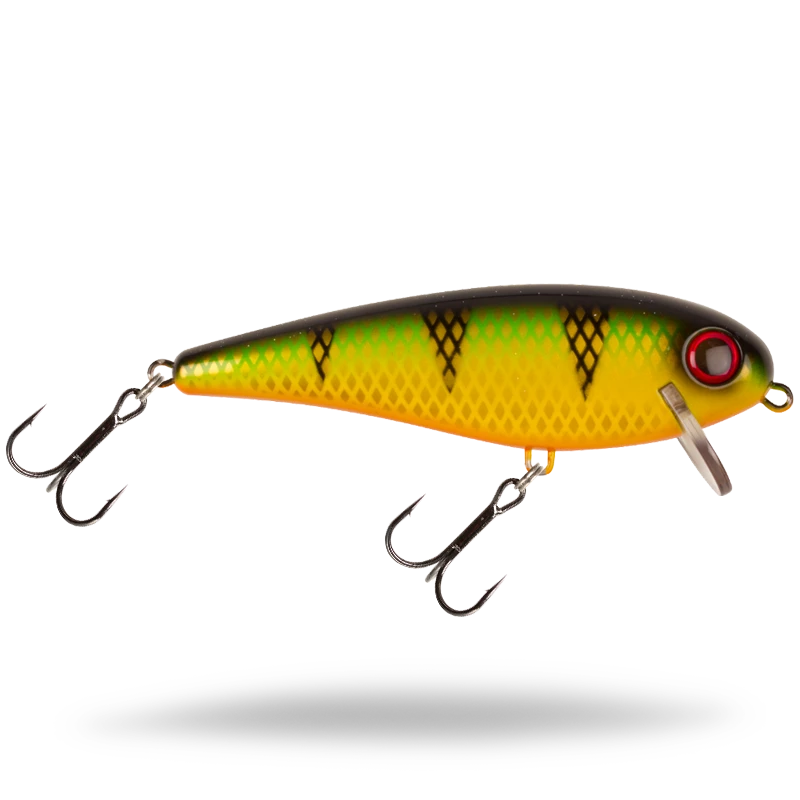 Orange Belly Perch