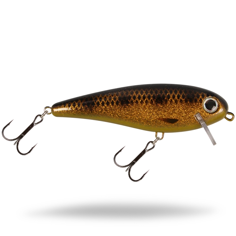 Spotted Bullhead
