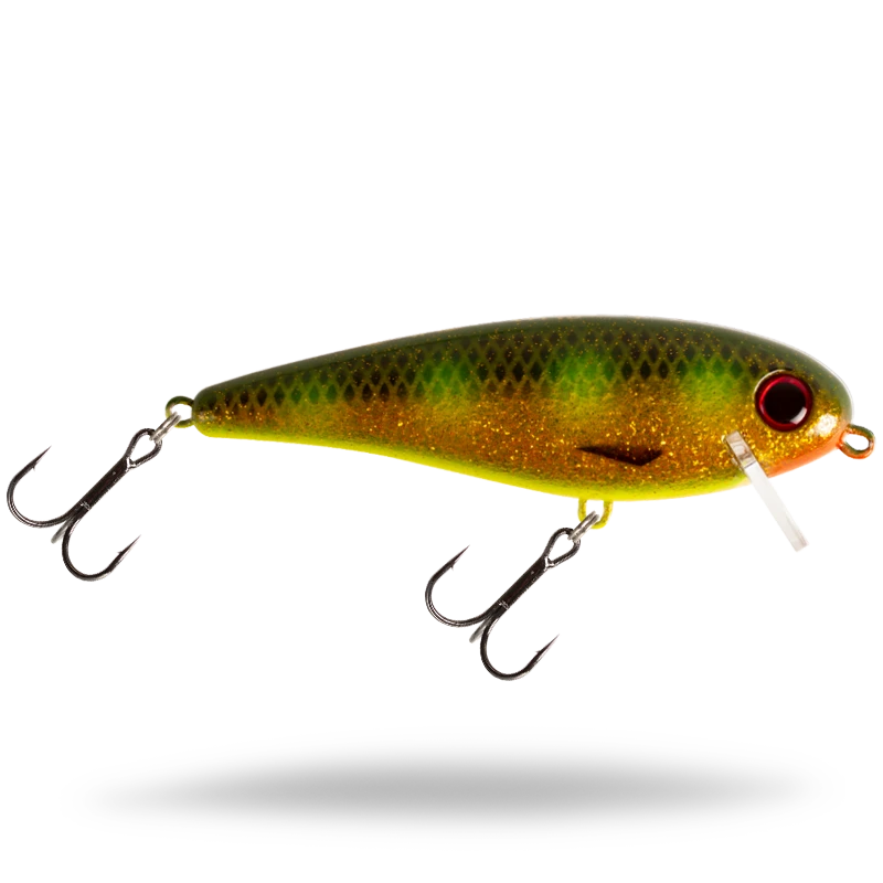 Hot Spotted Bullhead
