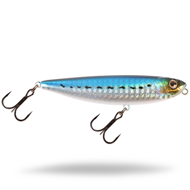 Sardine