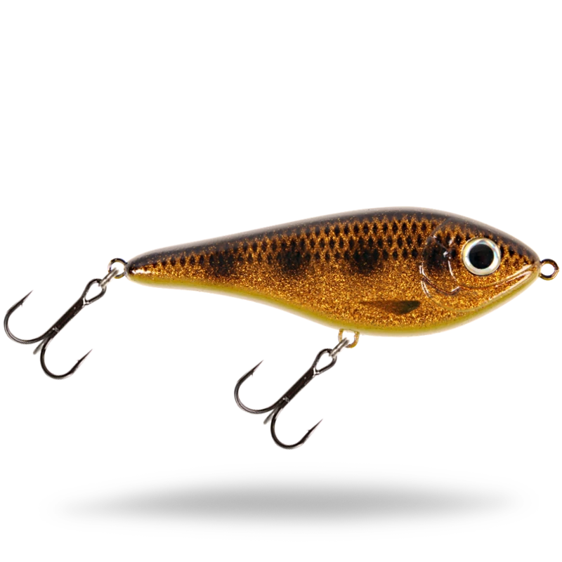 Spotted Bullhead