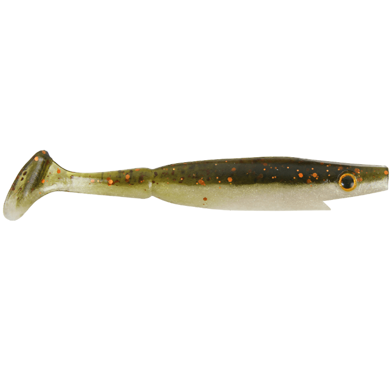 Backwater Shad