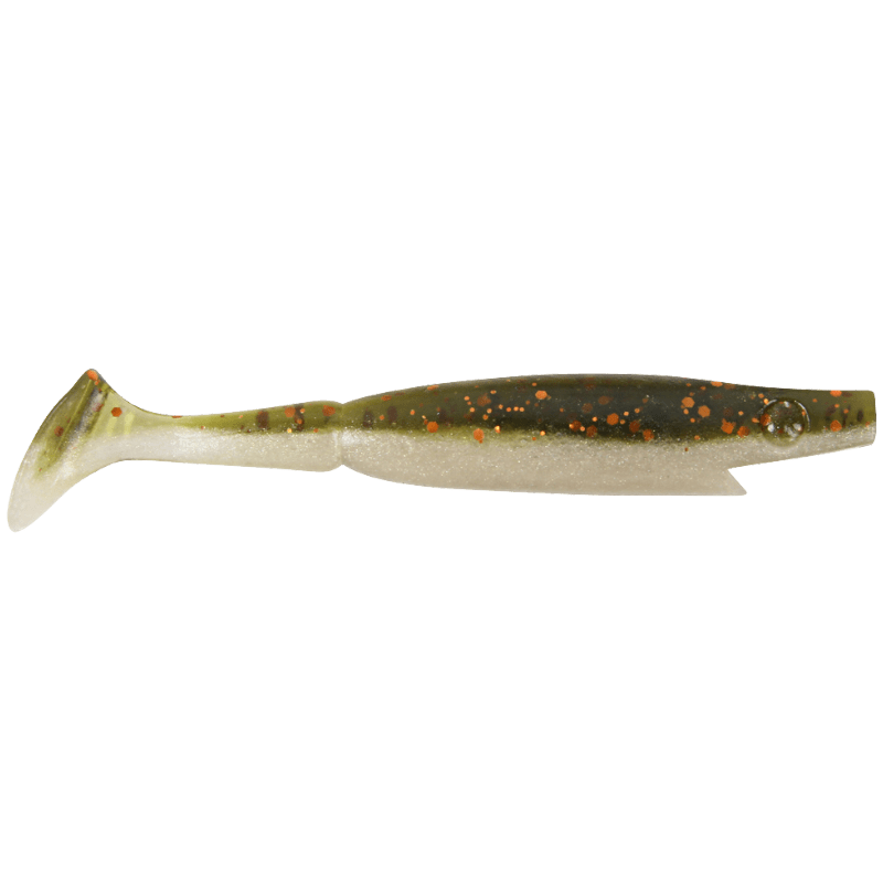 Backwater Shad