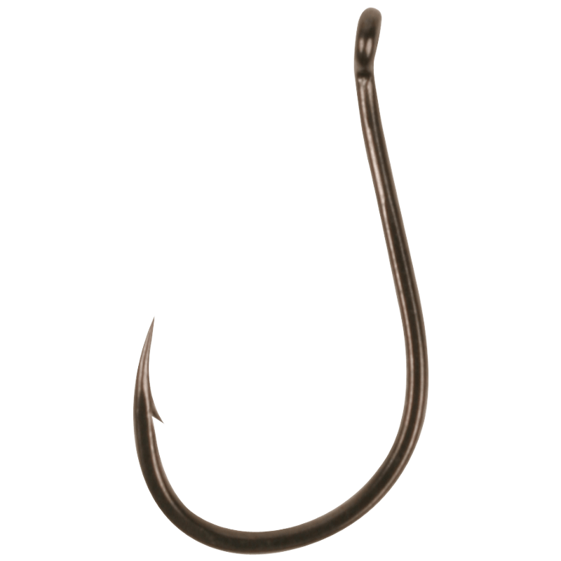 Mosquito Specimen