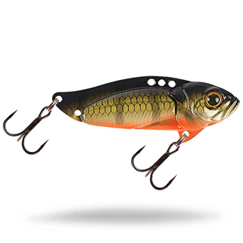 Baby Perch