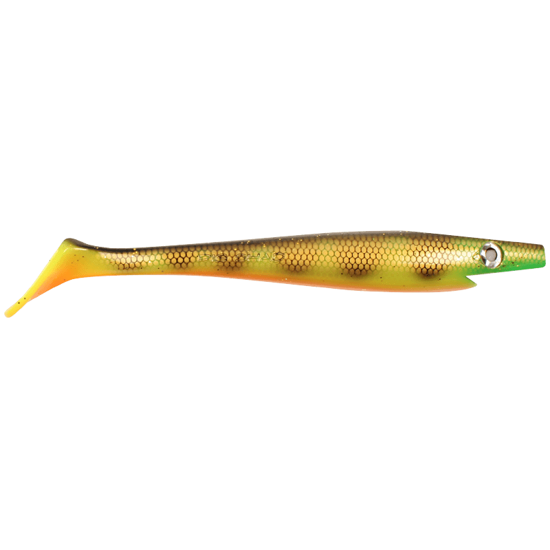 Orange Belly Perch