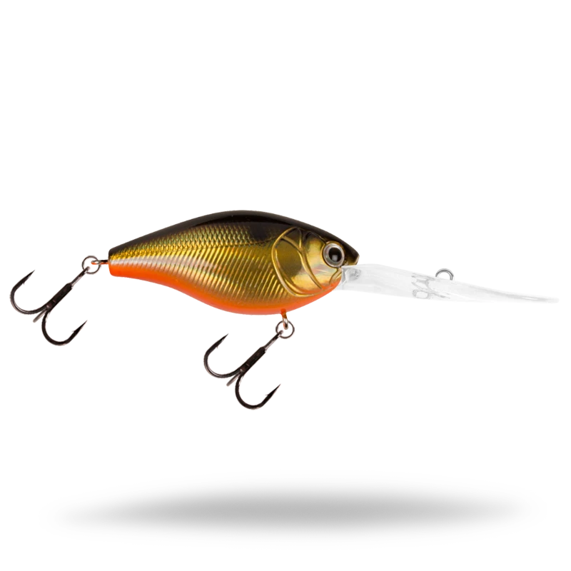 Golden Shiner