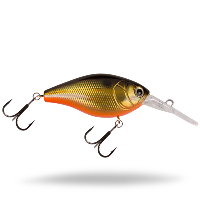 Golden Shiner