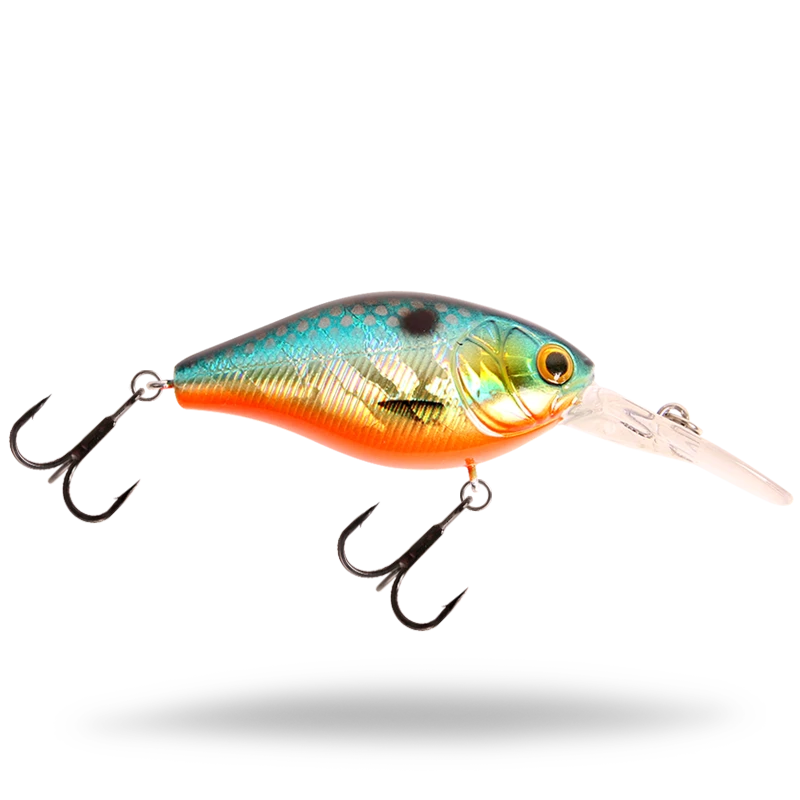OB Roach