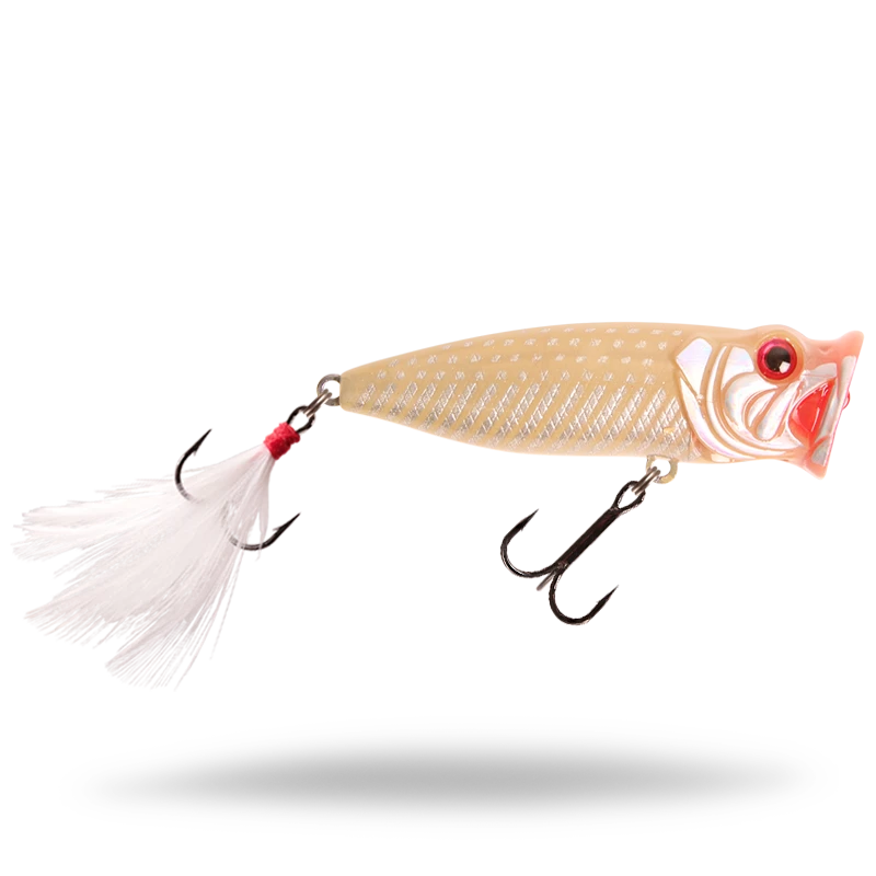 Bone