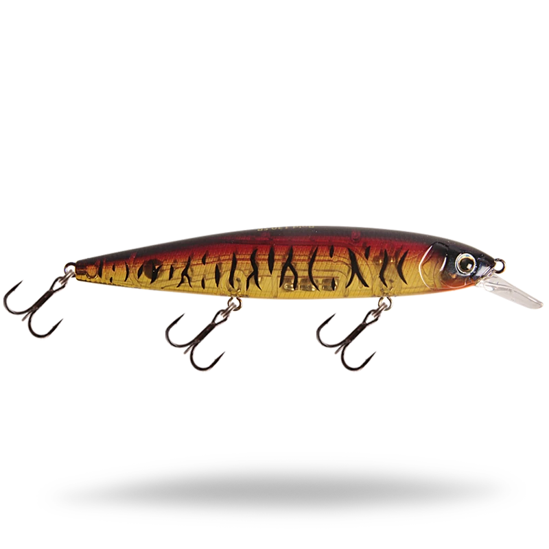 Spice Shad