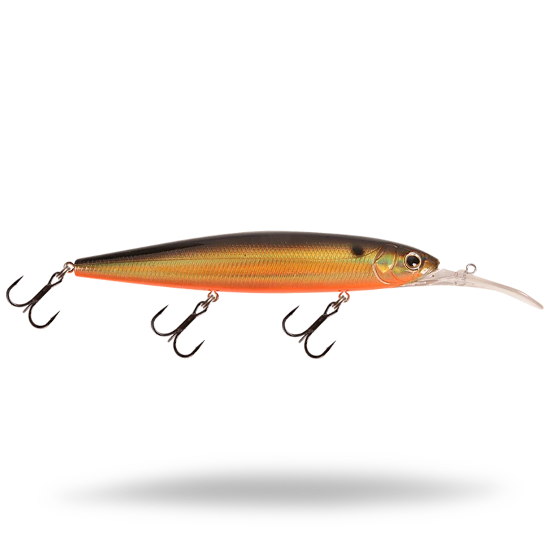 Golden Shiner