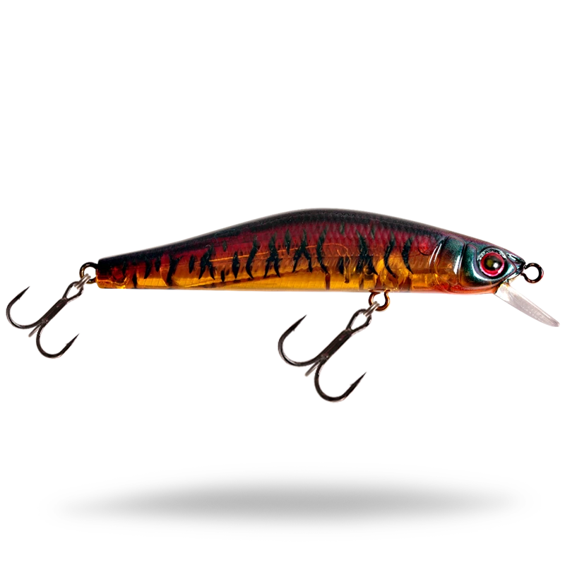 Spice Shad