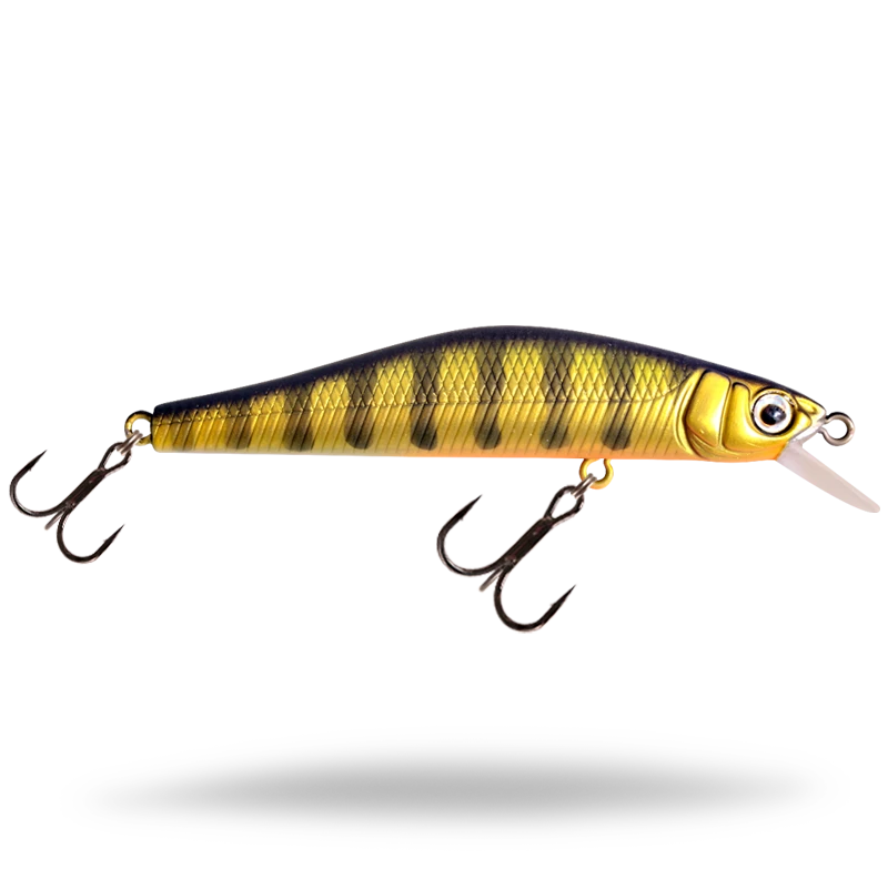 Golden Perch