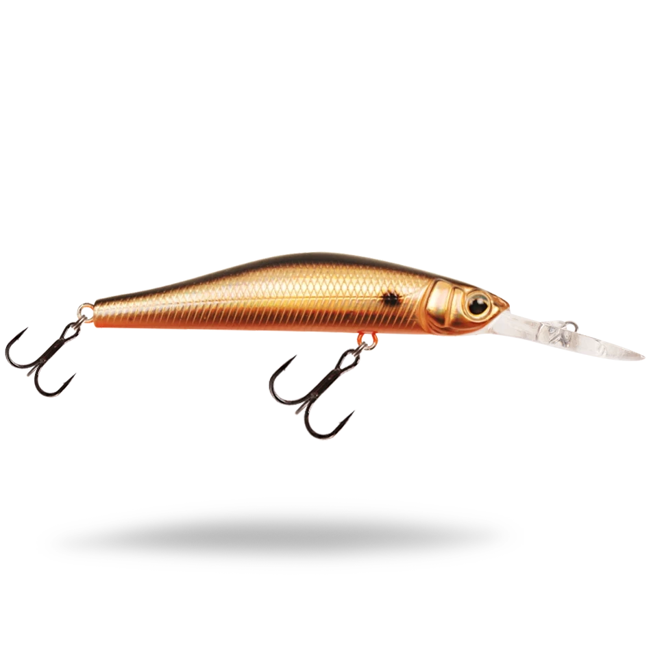 Golden Shiner