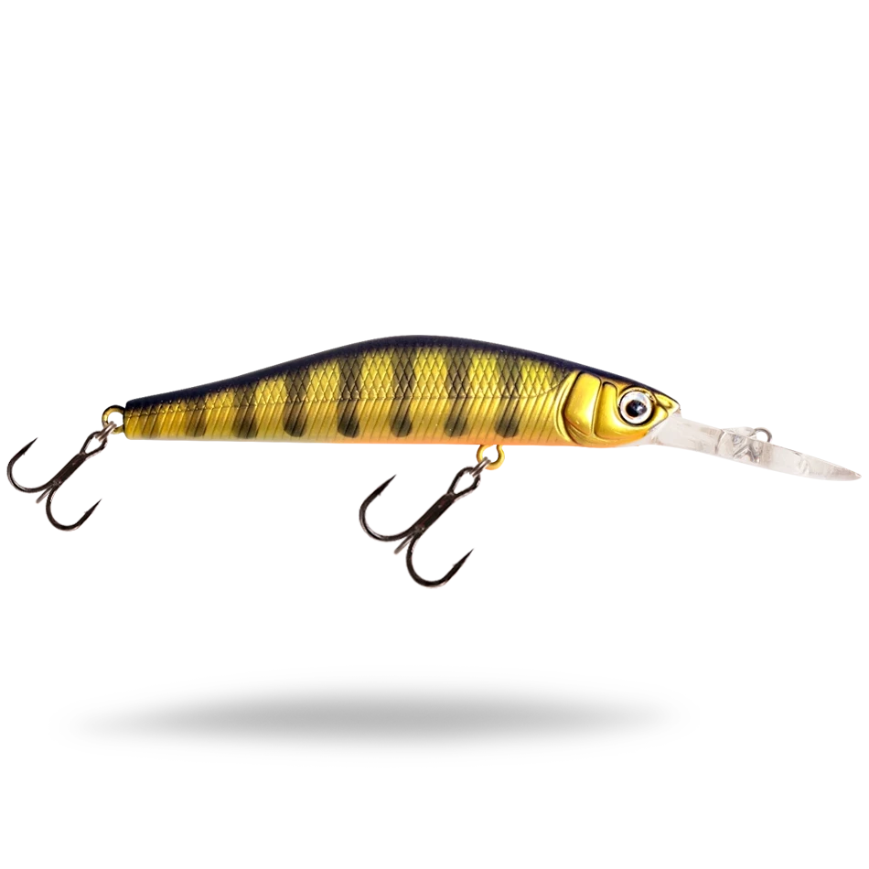 Golden Perch
