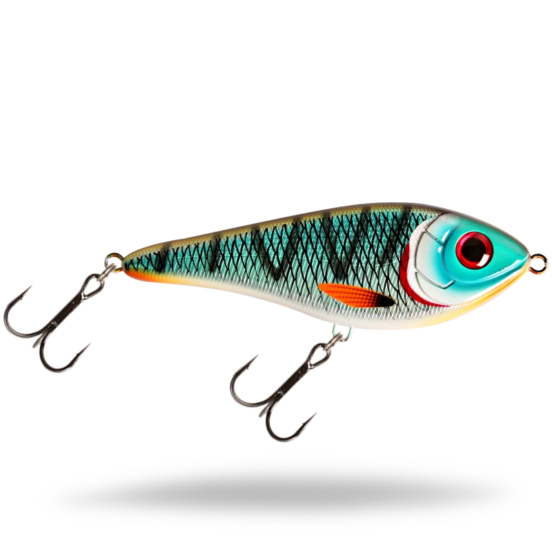 Tiger Cichlid